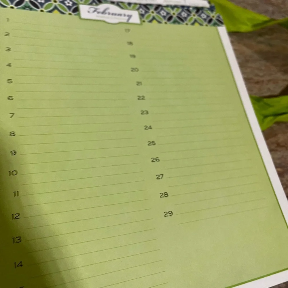 Vera Bradley Celebrations month to month organizer with Green Ribbon